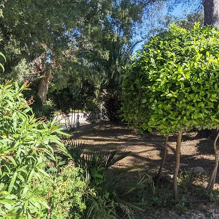 ヴィラ Prime Rose