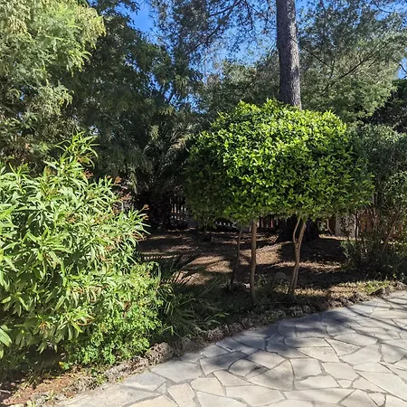 Villa Prime Rose Saint Aygulf