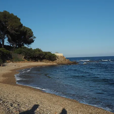 ヴィラ Prime Rose